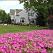 Flowerbed & Shrub Maintenance